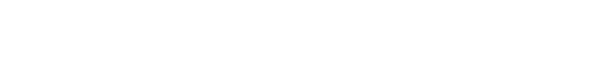 DMNS 2 Line White Logo