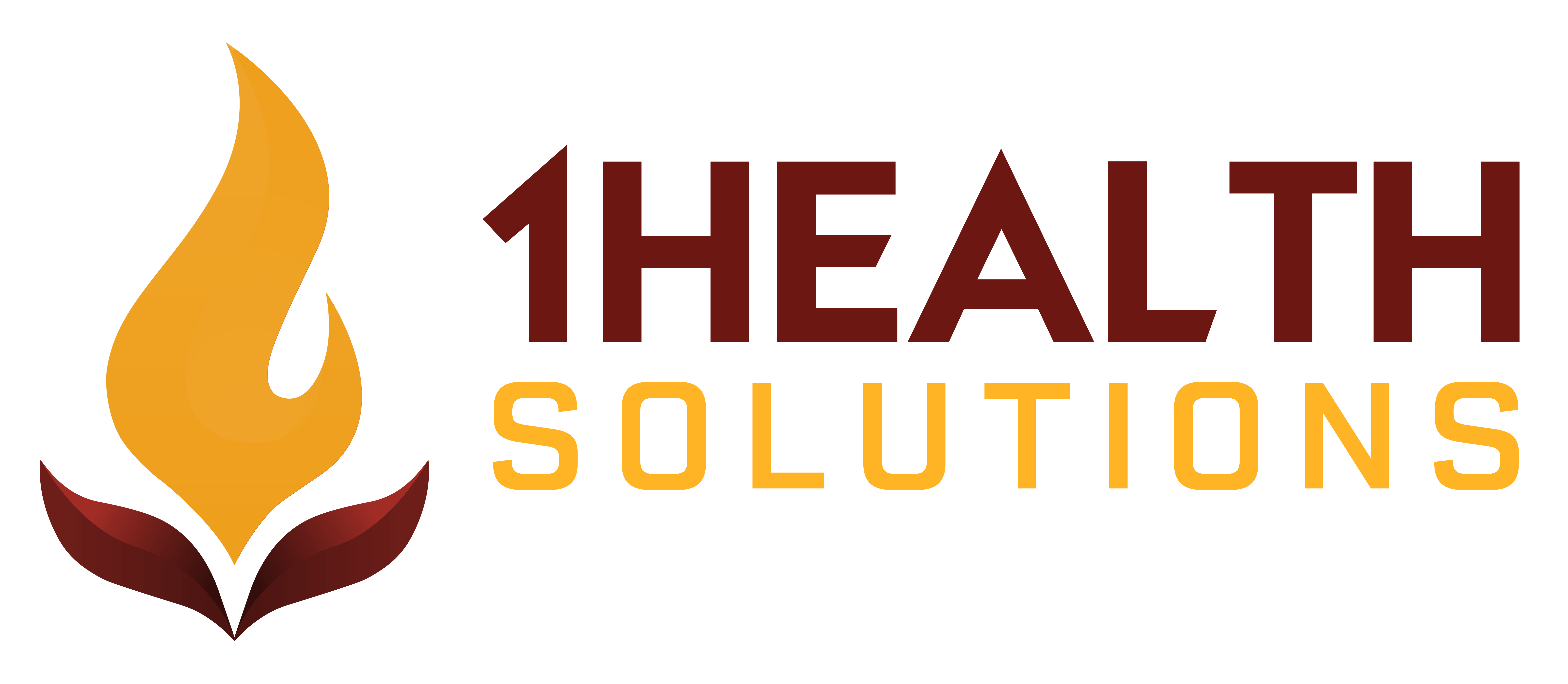 2026 1HS Logo