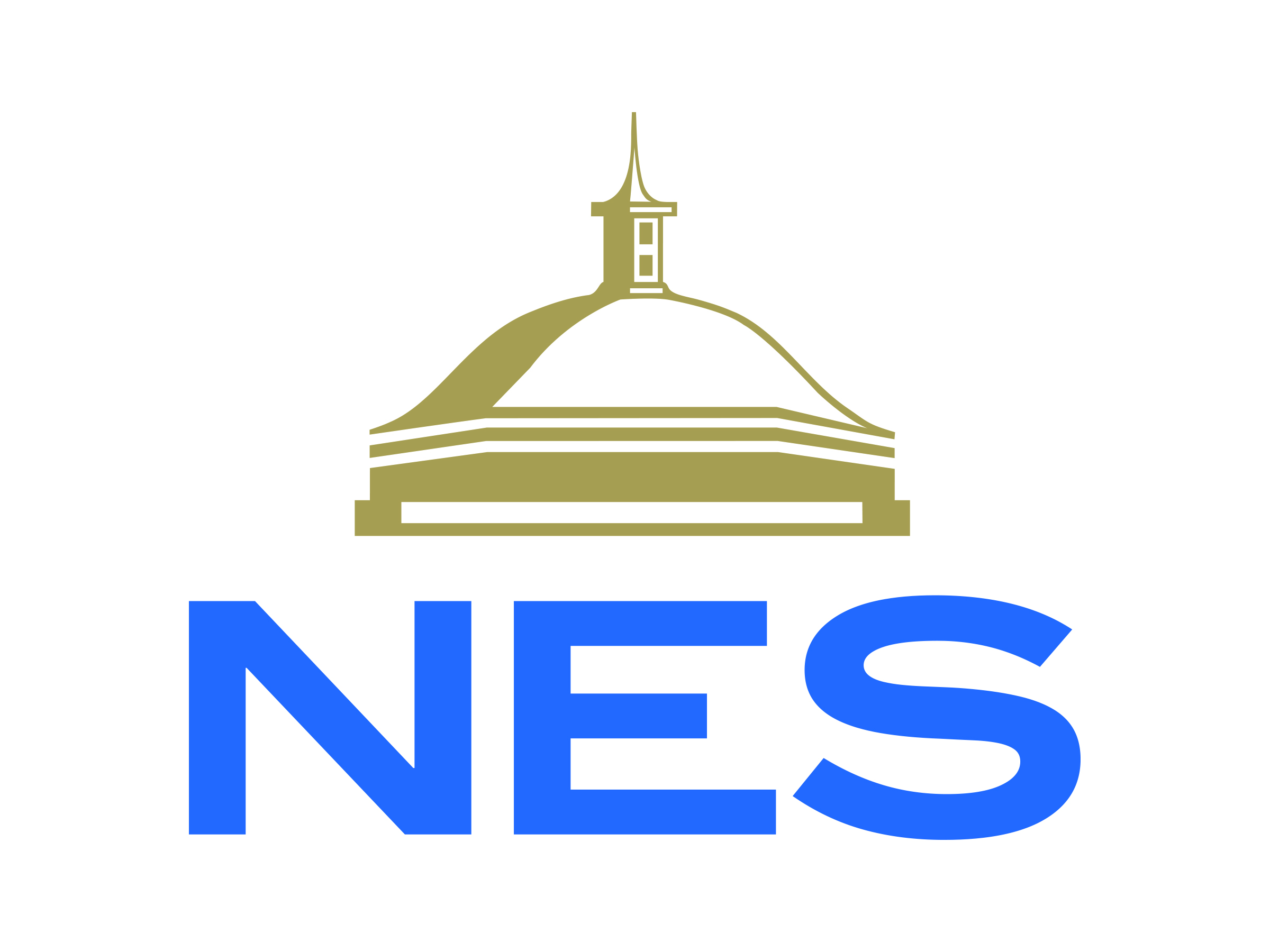 NES Official Logo